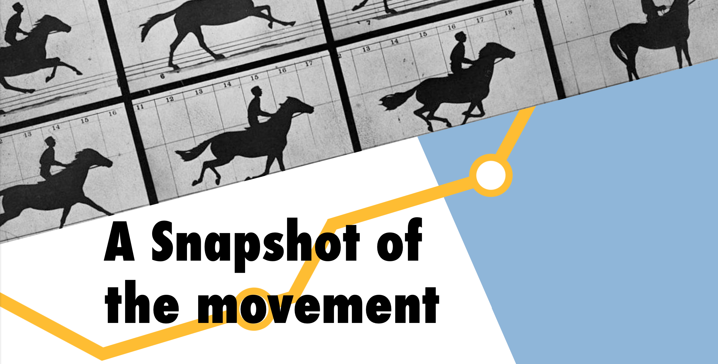 Snapshot – A review of a year of movement. Snapshot – A review of a year of movement.